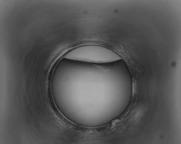 X0000091730243200708241050