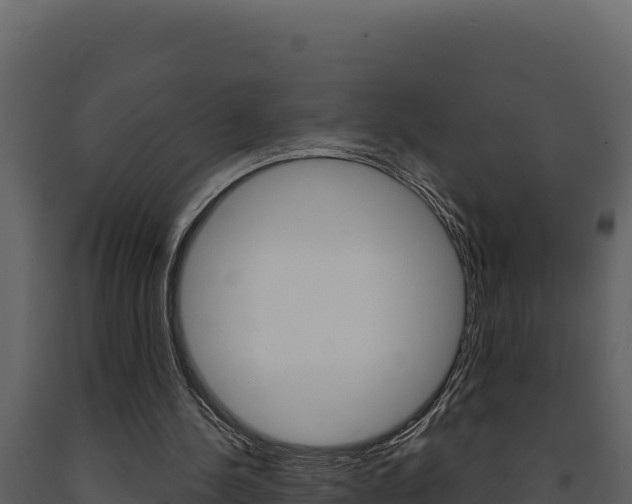 X0000091730244200708241050