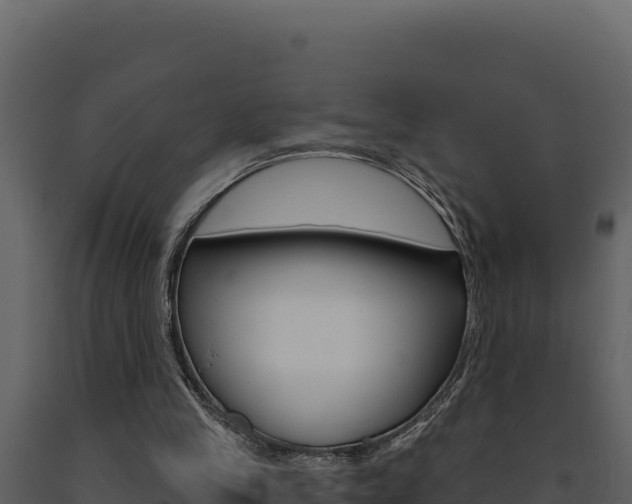X0000091730245200708241050