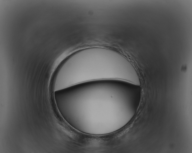 X0000091730246200708241050