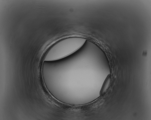 X0000091730247200708241050