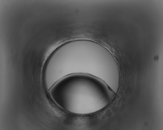 X0000091730248200708241050