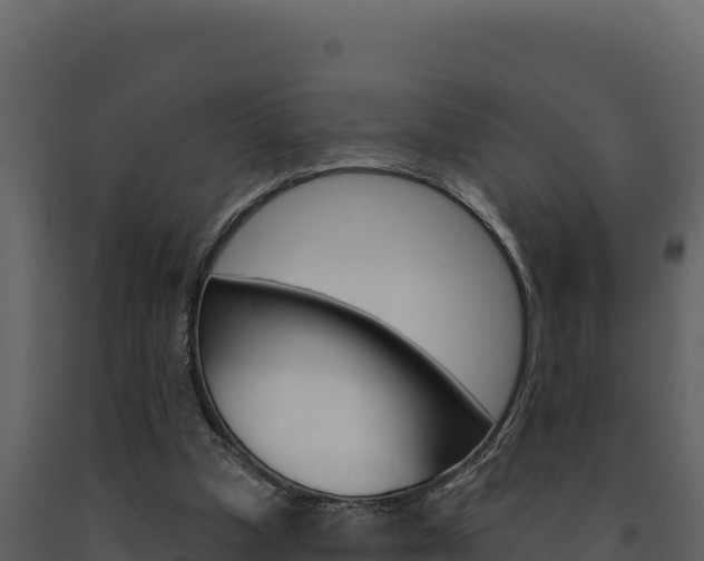 X0000091730249200708241050