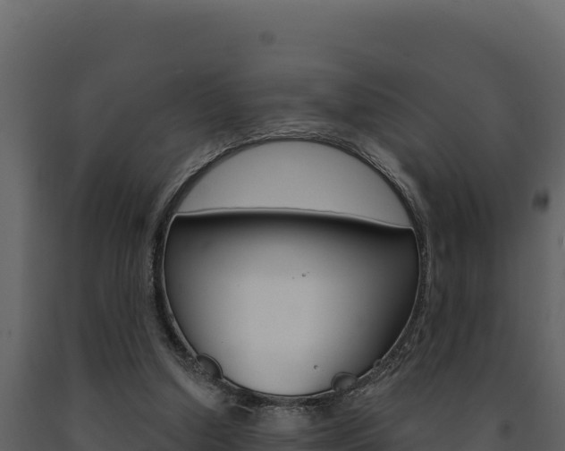 X0000091730250200708241050