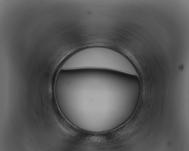 X0000091730251200708241050