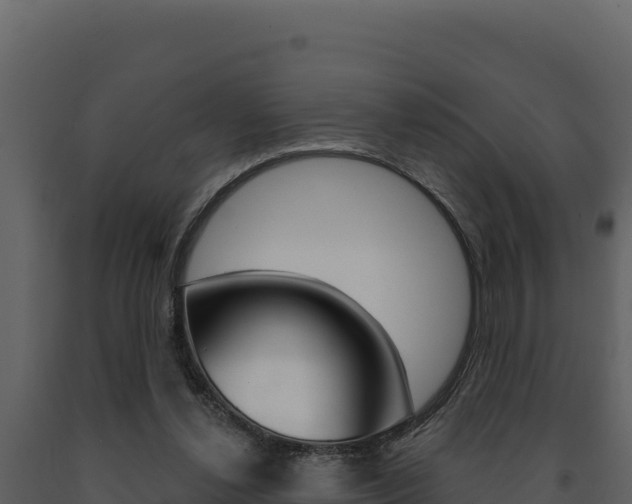X0000091730252200708241050