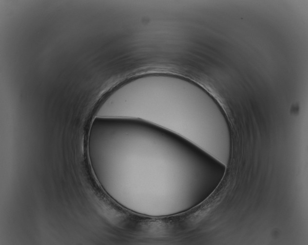 X0000091730253200708241050