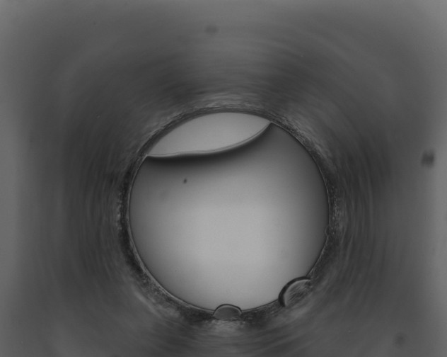 X0000091730255200708241051