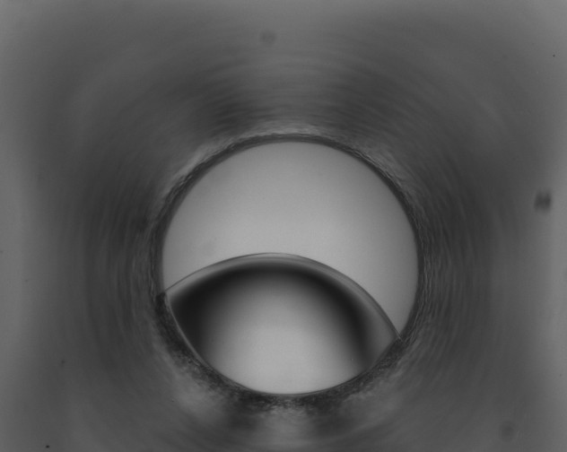 X0000091730256200708241051