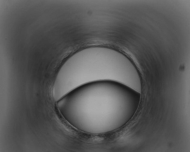 X0000091730257200708241051