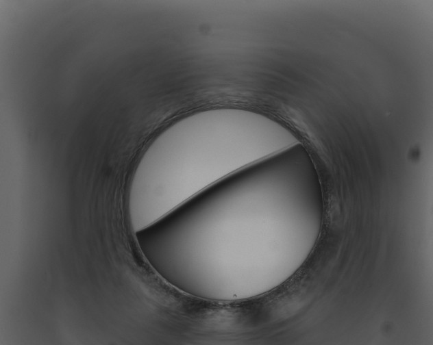 X0000091730259200708241051