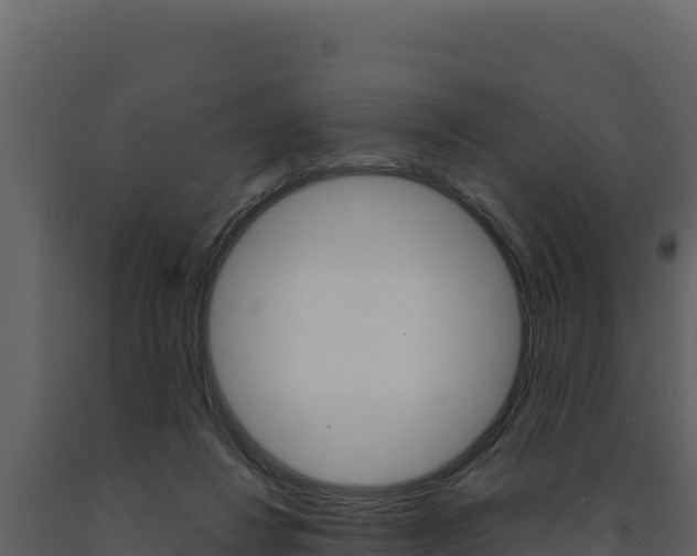 X0000091730260200708241051