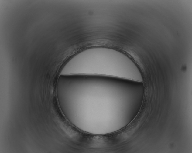 X0000091730261200708241051