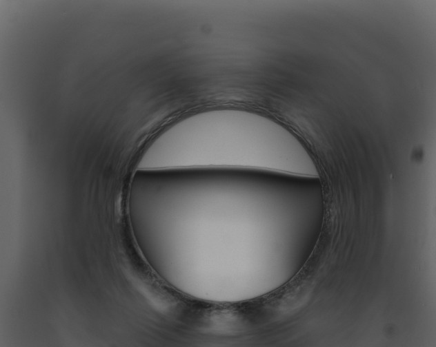 X0000091730262200708241051