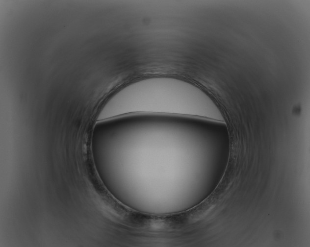 X0000091730264200708241051
