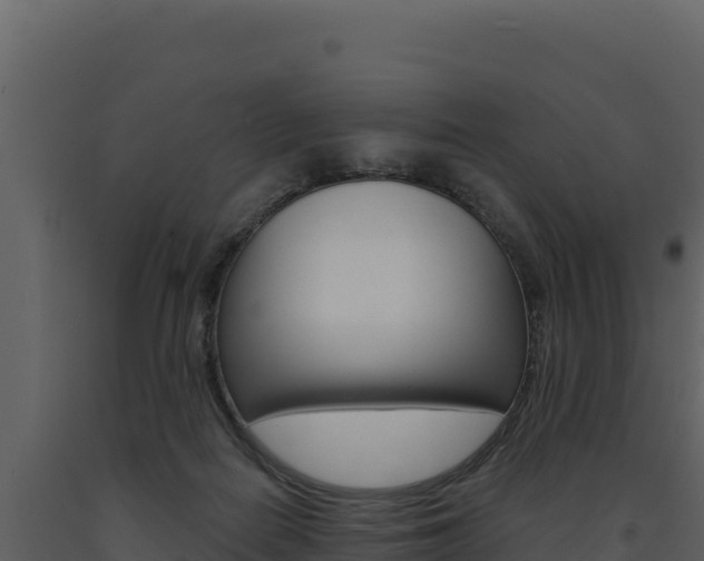 X0000091730266200708241051