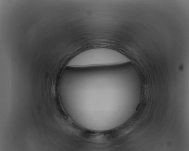 X0000091730267200708241051