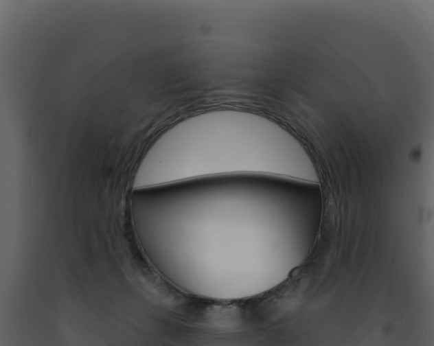 X0000091730271200708241051