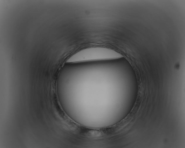X0000091730272200708241051