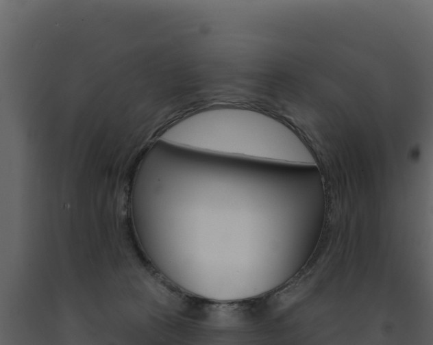 X0000091730273200708241051