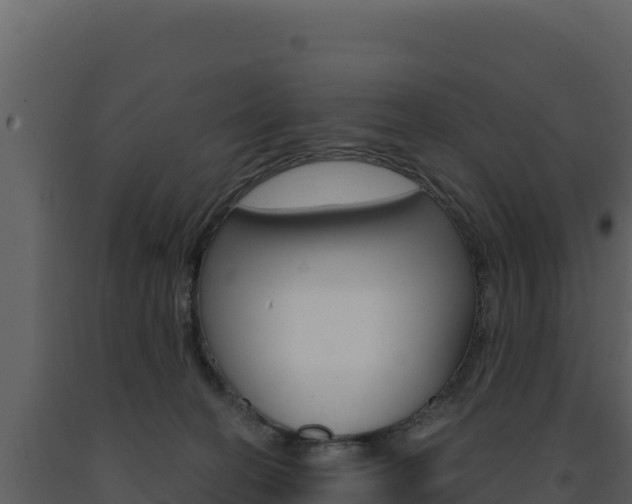 X0000091730274200708241051