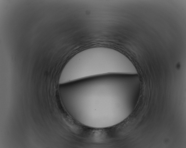 X0000091730275200708241051
