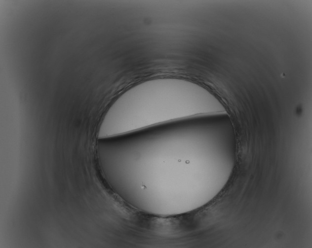 X0000091730277200708241051
