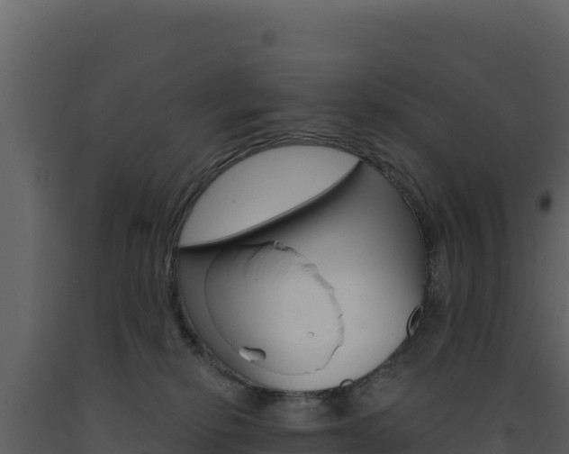 X0000091730278200708241051