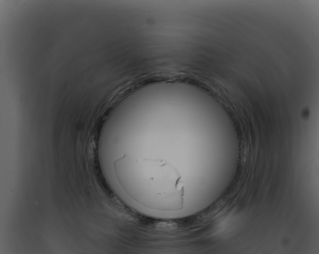 X0000091730279200708241051