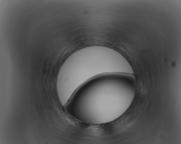 X0000091730280200708241051