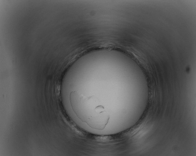 X0000091730281200708241051