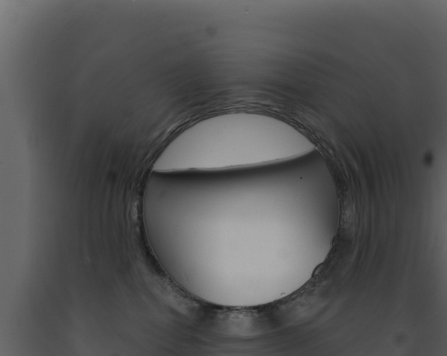 X0000091730282200708241051