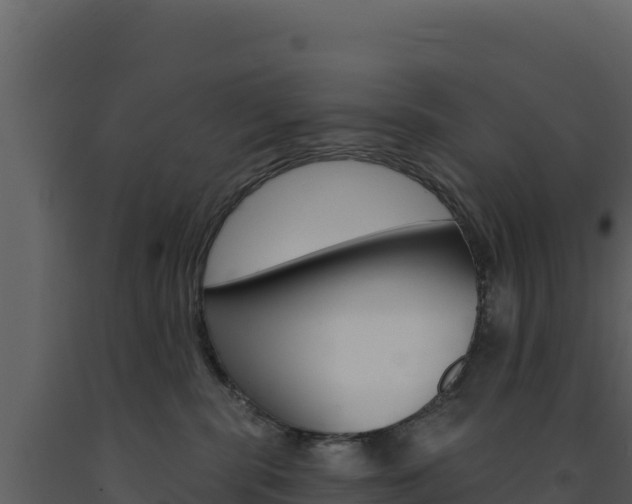 X0000091730283200708241051