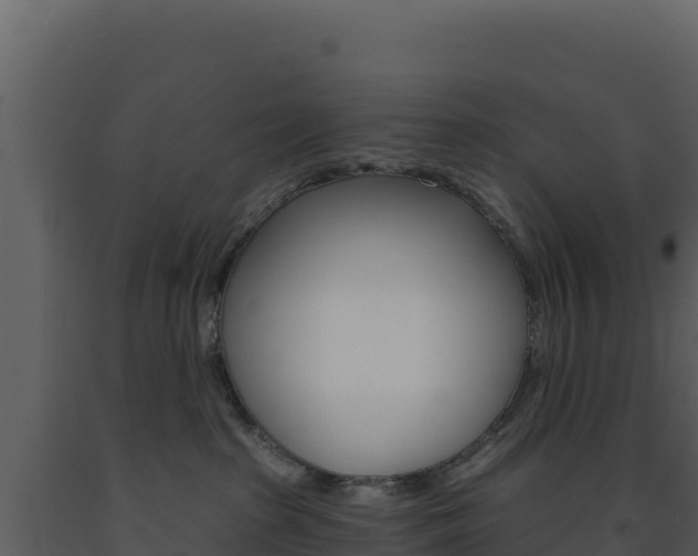 X0000091730285200708241051