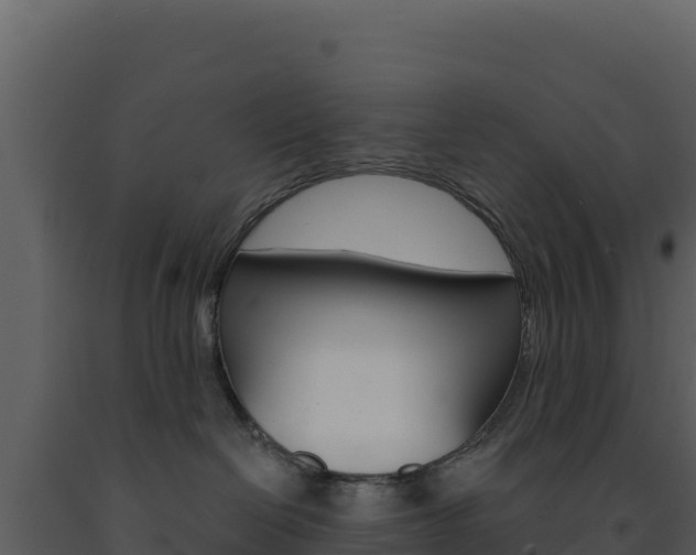 X0000091730286200708241051