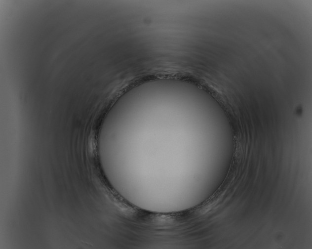 X0000091730287200708241051