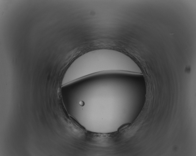 X0000091730288200708241051