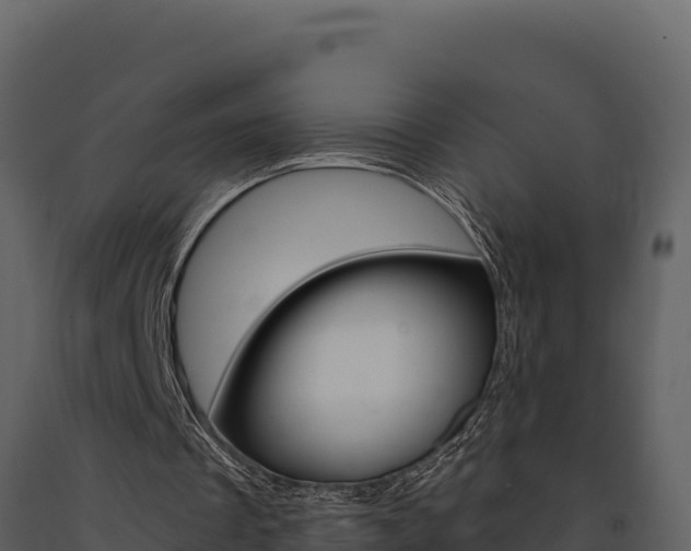 X0000091730289200708241050