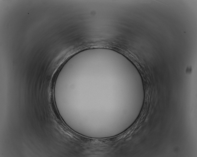 X0000091730290200708241050