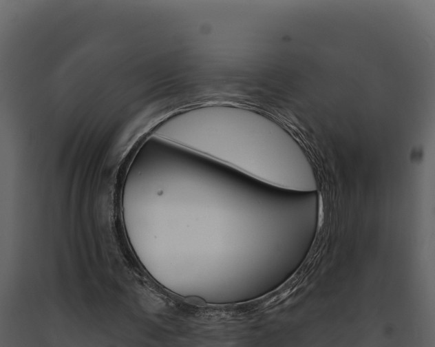 X0000091730291200708241050