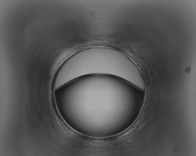 X0000091730293200708241050