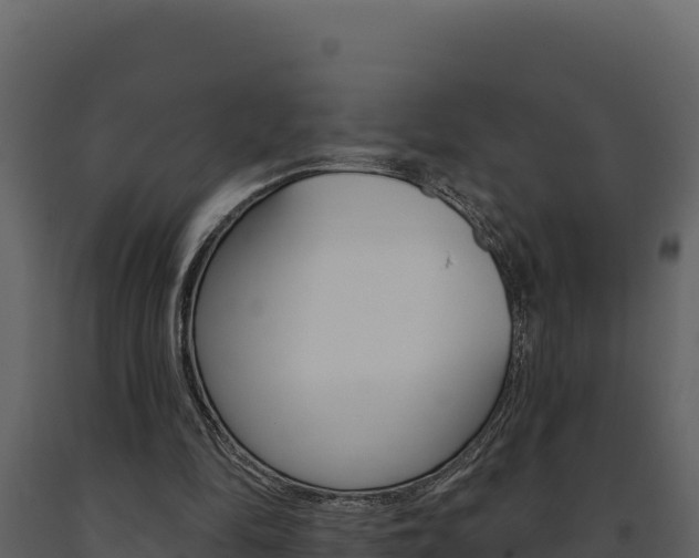 X0000091730294200708241050