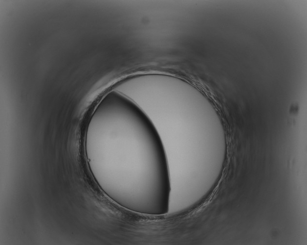 X0000091730295200708241050