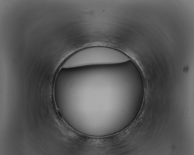 X0000091730297200708241050