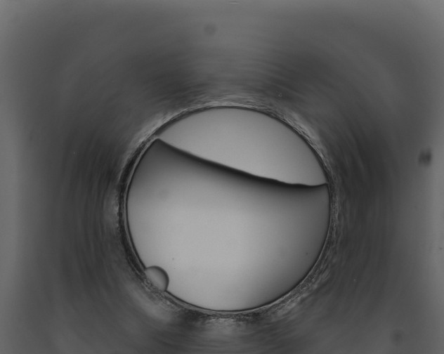 X0000091730298200708241050