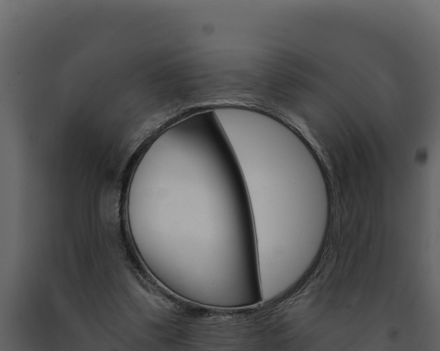 X0000091730299200708241050