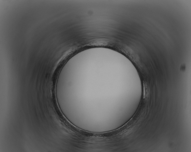 X0000091730300200708241050