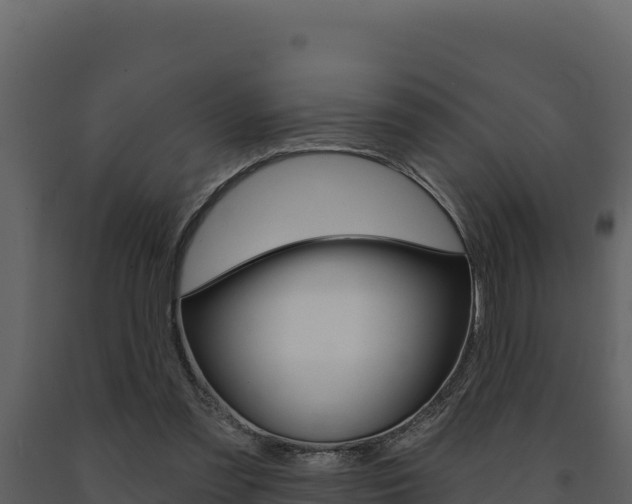 X0000091730301200708241050