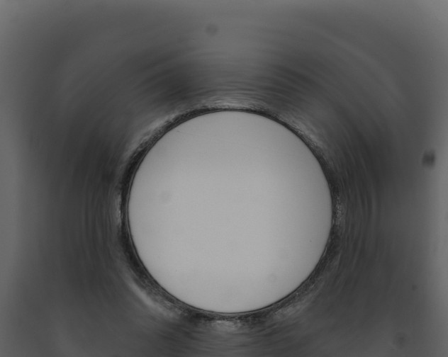 X0000091730302200708241050