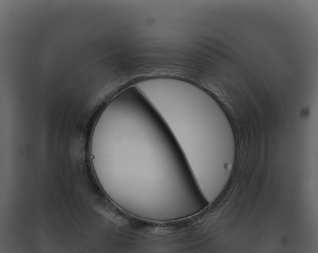 X0000091730303200708241050